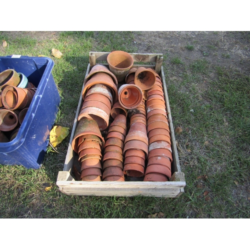 8430 - A tray of terracotta pots