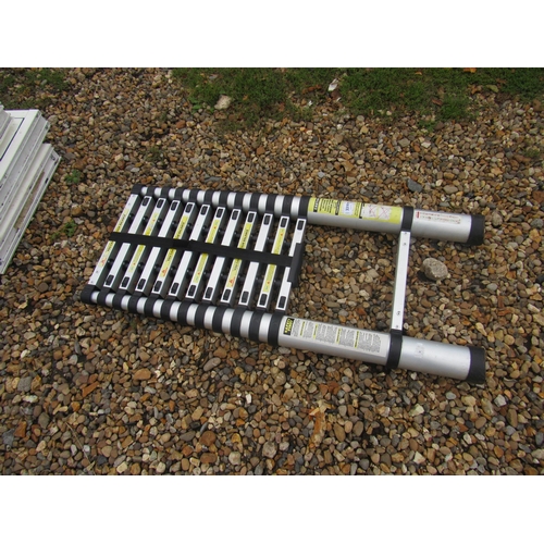 3316 - A telescopic ladder   (R)  £30