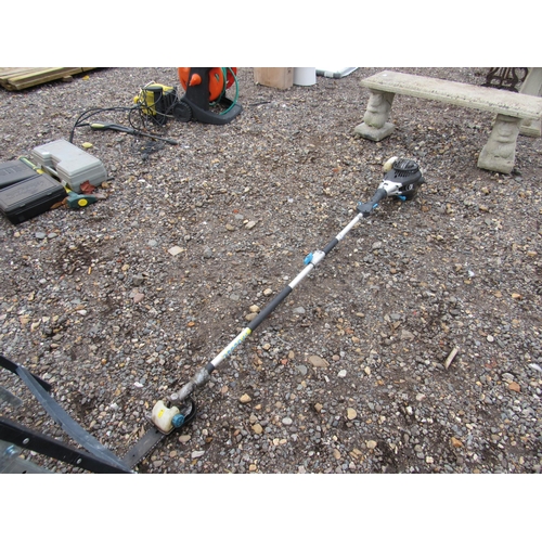 3393 - A MacAllister long reach chain saw