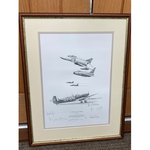 5481 - 'A TRIBUTE TO GRUMPY' a limited-edition print after Nicolas trudgian depicting various fighter aircr... 