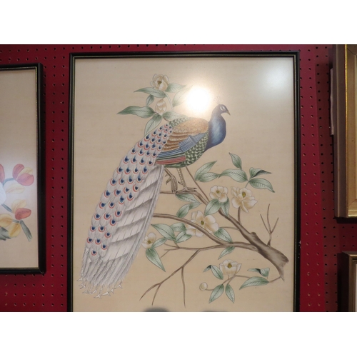 4075 - Two Indian handpainted pictures depicting peacock on blossoming branch and cockatoos on leafy branch... 