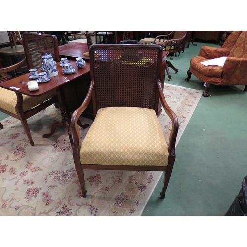 4097 - A pair of Edwardian mahogany Bergere armchairs on spade foot tapering fore legs