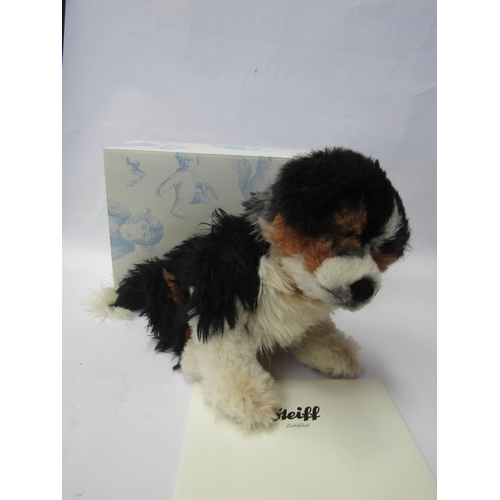 7156 - A Steiff 036576 Jackie Masterpiece Australian Shepherd Puppy soft toy , boxed, no certificate