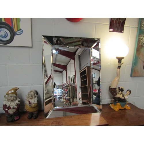 1019 - A large rectangular wall mirror, 81cm x 60cm