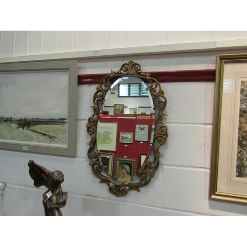 1036 - An oval gilt framed wall mirror, 75cm x 46cm total         (E) £15-20