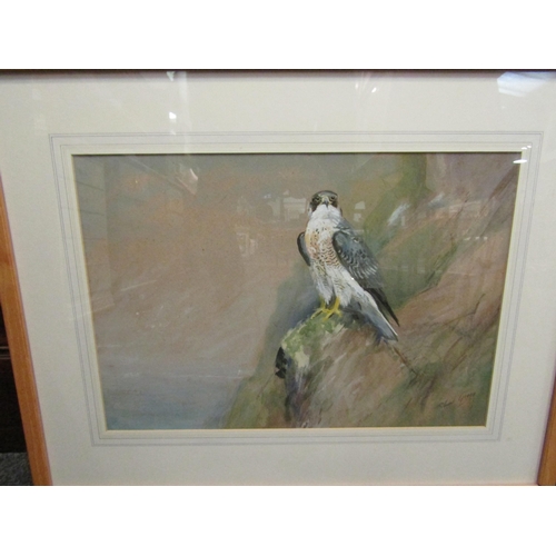 1062 - ROLAND GREEN (1890-1972): A framed and glazed watercolour of a Peregrine Falcon on rocks. Signed bot... 