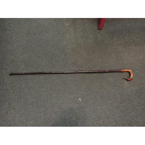 1067 - A Pheasant head walking cane