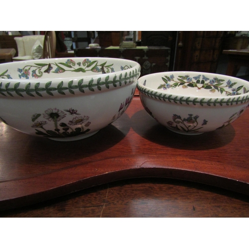 1175 - Two Portmerion Botanic Garden fruit bowls, 26cm diameter and 19cm diameter