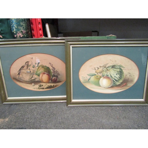 1236 - A pair of 19th Century still-life pictures in oval mounts, birds and fruits, foxed, 21cm x 31cm imag... 