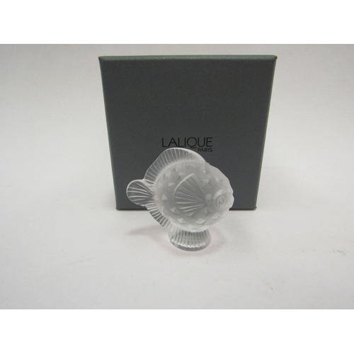 1384 - A Lalique glass puffer fish in original box