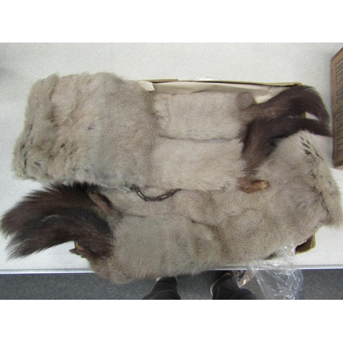 1220 - A North American skunk cape with 1980's Brahams Furriers documentation