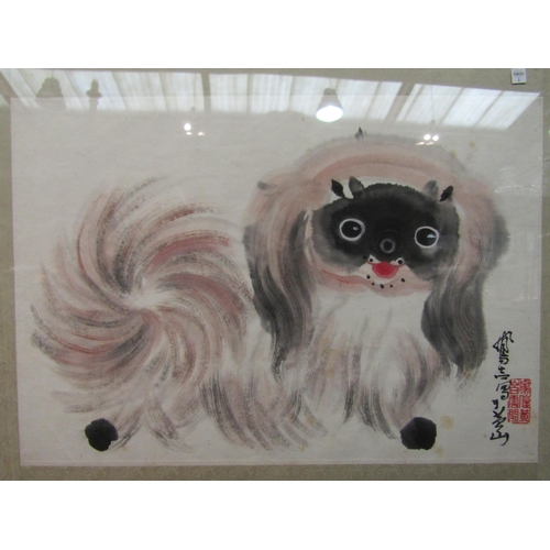 1246 - A 20th Century Chinese painting of Pekinese dog, framed and glazed, 31cm x 44cm image size