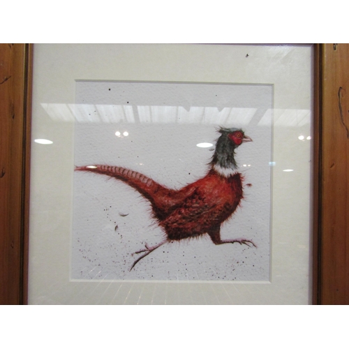 1481 - A print of a frazzled pheasant, framed and glazed, image size 17cm x 17cm