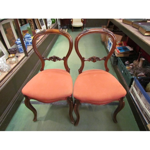 4231 - A pair of Victorian mahogany spoon back chairs with carved back rests over serpentine front seats on... 