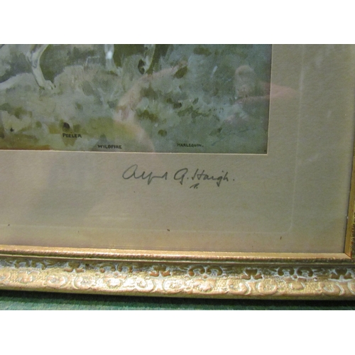 4296 - ALFRED G HAIGH:  A fox hunting print, signed lower right corner, framed and glazed, 36cm x 46cm