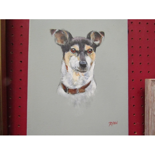 1097 - RYAN: An acrylic on cavas of a Jack Russell, 26cm x 20cm