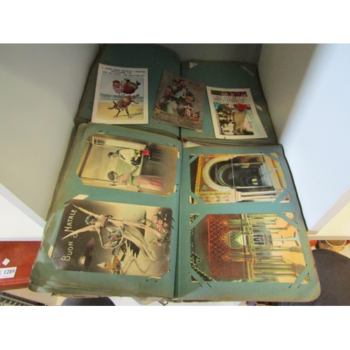 1287 - Two albums of vintage postcards