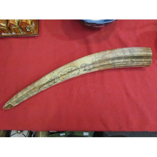 1473 - A reproduction Scrimshaw style tusk, 54cm long