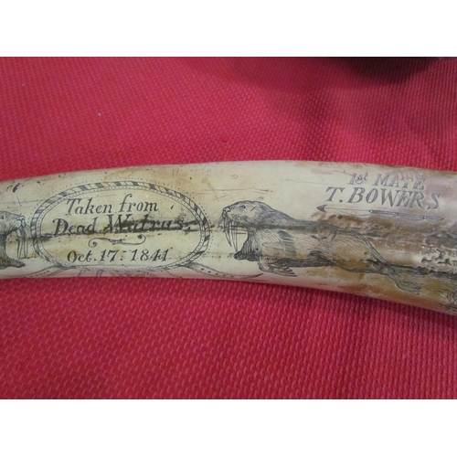 1473 - A reproduction Scrimshaw style tusk, 54cm long