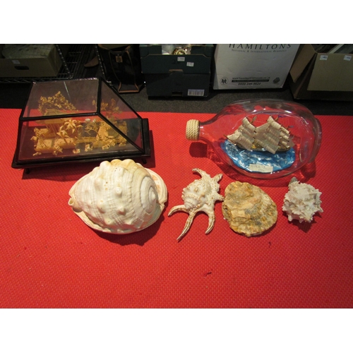 1477 - A ship in a bottle, four shells and a Japanese cork diorama (6)