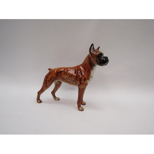 1308 - A West German Goebel boxer dog figurine, hand-painted, 17cm tall