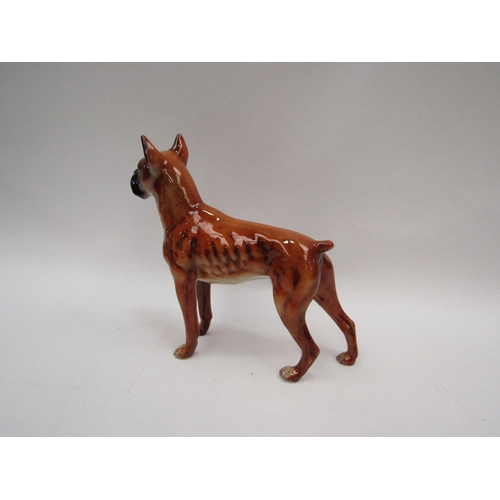 1308 - A West German Goebel boxer dog figurine, hand-painted, 17cm tall