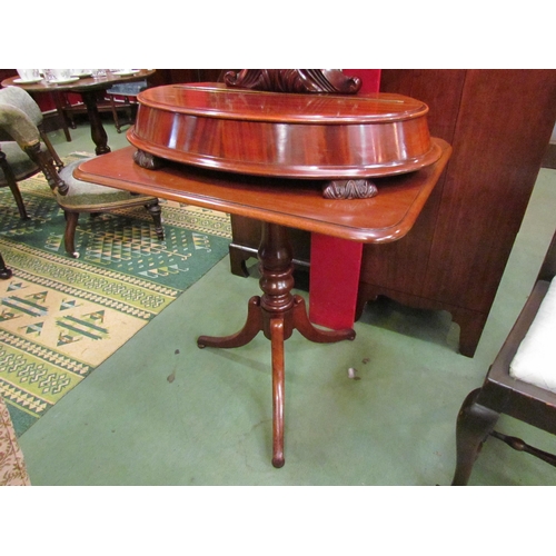 4001 - Circa 1830 a mahogany tilt top wine table over a turned baluster column and outswept tripod base on ... 