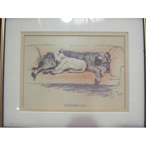 4330 - Five Cecil Aldin prints heightened with white, all of dogs including supplication, trepidation, exec... 