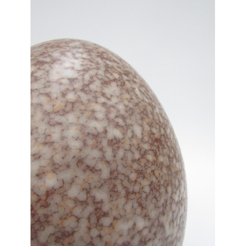 7087 - A studio pottery large salt glaze egg with painted marks to base 