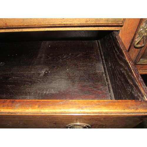 1001 - An early 20th Century oak dresser, the arched plate rack top over two drawer and twin cupboard base,... 