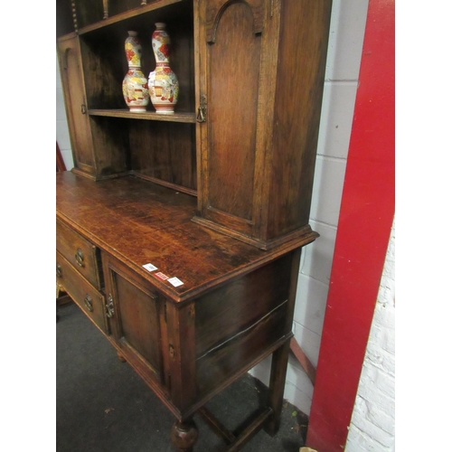 1001 - An early 20th Century oak dresser, the arched plate rack top over two drawer and twin cupboard base,... 