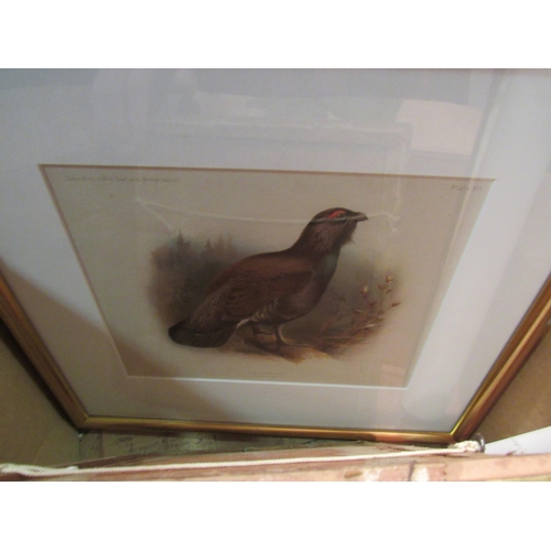 1217 - A box of 19th Century framed, mounted and other prints, frames, Shell posters etc   (R)  £0