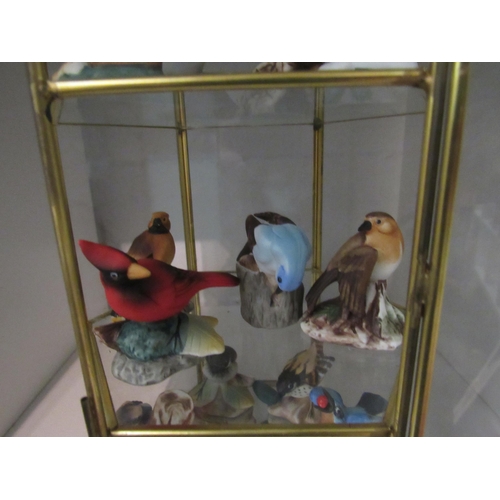 1357 - A hexagonal table top display cabinet with bird figure contents