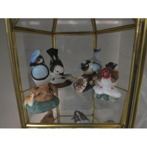 1357 - A hexagonal table top display cabinet with bird figure contents