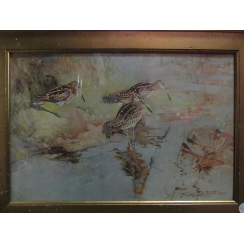 1407 - A Frank Southgate (1872-1916) print of a watercolour depicting Snipe, gilt framed and glazed, 24cm x... 