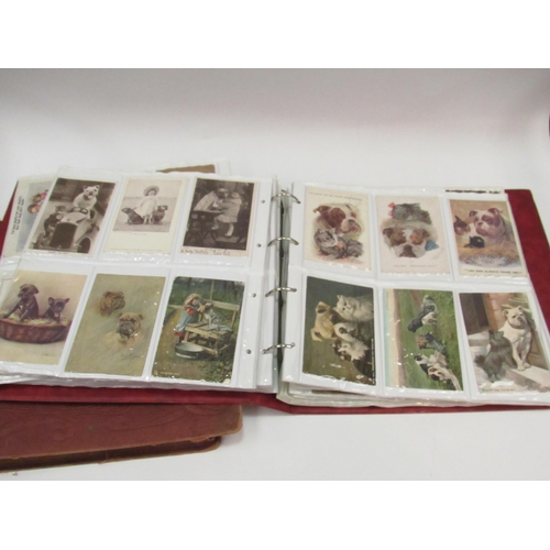 1317 - One album of mainly early 20th century bulldog postcards and one vacant album, loose examples includ... 