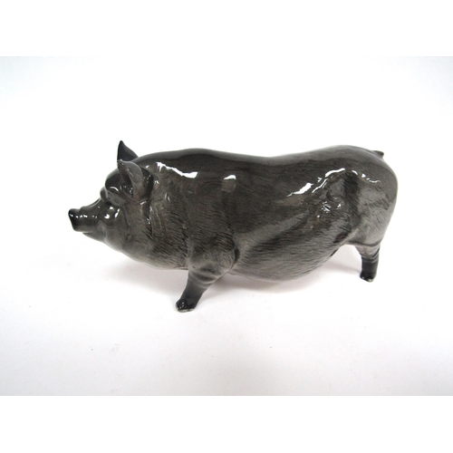 1864 - A Royal Doulton Vietnamese Pot-Bellied Pig in gloss, model no. G189