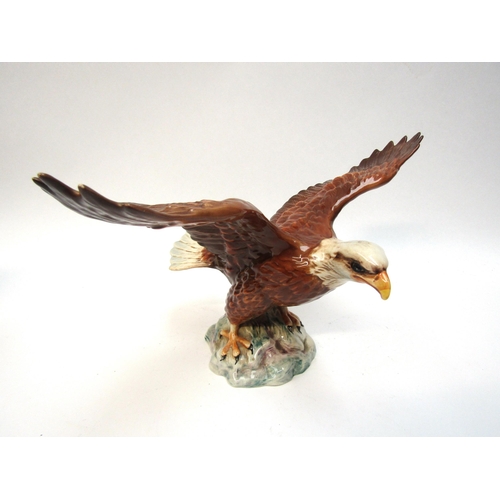 1866 - A Beswick Bald Eagle in gloss, model no. 1018