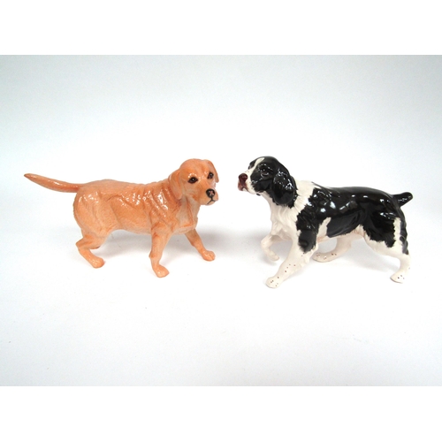 1875 - A Beswick Springer Spaniel in gloss, model no. 3135 together with a Beswick Labrador standing in gol... 