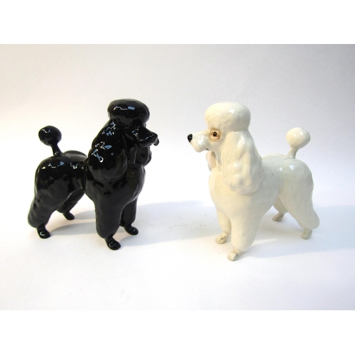 1877 - Two Beswick large Poodles in black and white gloss, model nos. 2339