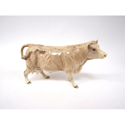 1888 - A Beswick Charolais Cow in gloss, model no. 3075A