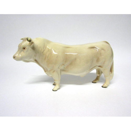 1893 - A Beswick Charolais Bull in gloss, model no. 2463A