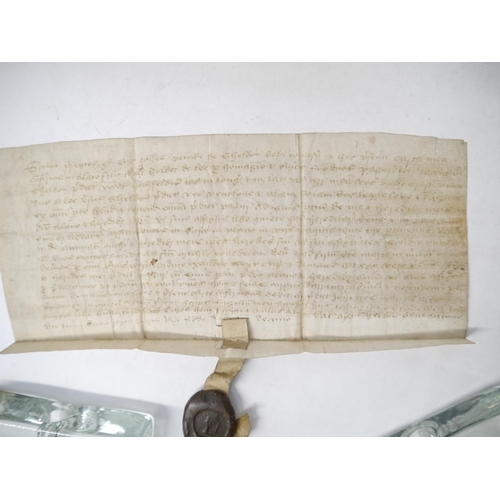 9075 - Grant for £2; 10R2 [22 Jun 1386 – 21 Jun 1387]
John Petowe of Sheldon to Alan son of William Holder ... 