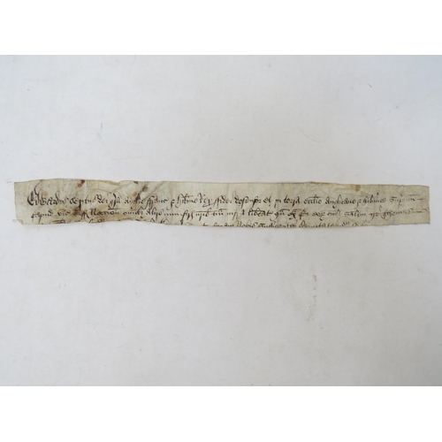 9077A - Fragment of a writ of Edward VI to the sheriff of Suffolk concerning securities of the peace found b... 