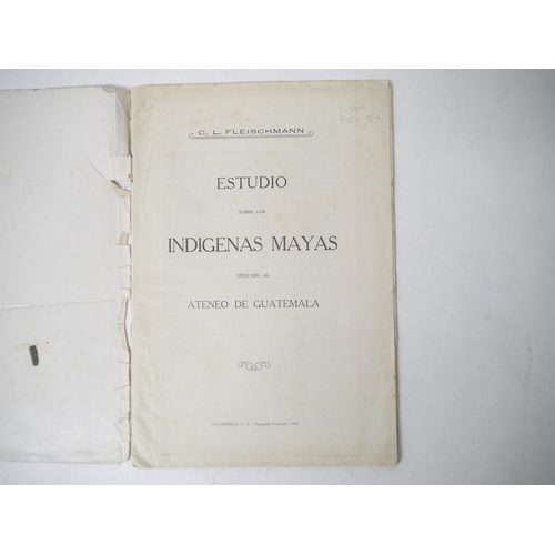 9025 - (Mayas, Yucatan, Antiquities), C.L. Fleischmann: 'Estudio sobre los indígenas Mayas : dedicado al At... 