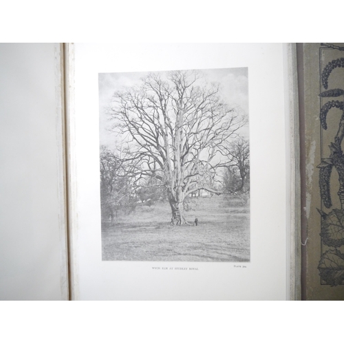 9092 - (Trees), Henry John Elwes & Augustine Henry: 'The Trees of Great Britain & Ireland', Edinburgh, Priv... 