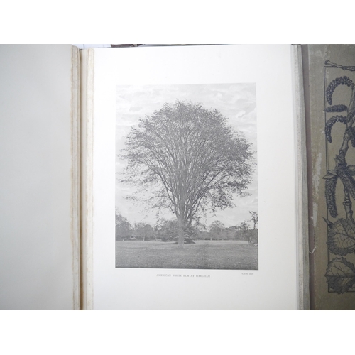 9092 - (Trees), Henry John Elwes & Augustine Henry: 'The Trees of Great Britain & Ireland', Edinburgh, Priv... 