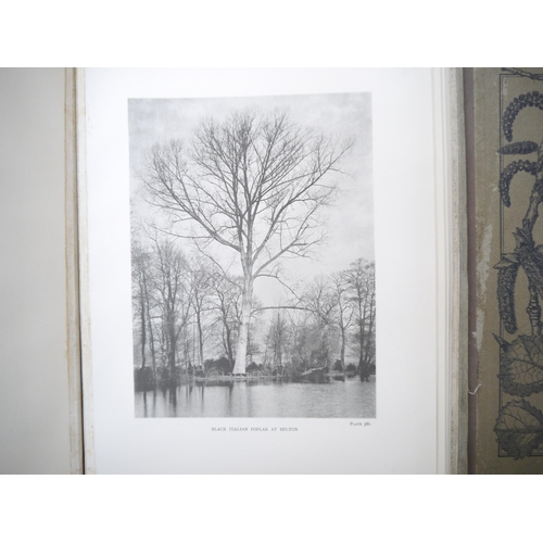 9092 - (Trees), Henry John Elwes & Augustine Henry: 'The Trees of Great Britain & Ireland', Edinburgh, Priv... 