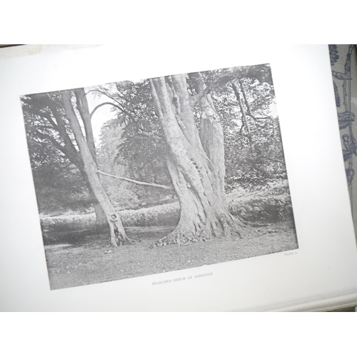 9092 - (Trees), Henry John Elwes & Augustine Henry: 'The Trees of Great Britain & Ireland', Edinburgh, Priv... 