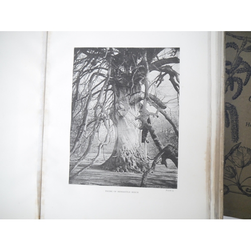 9092 - (Trees), Henry John Elwes & Augustine Henry: 'The Trees of Great Britain & Ireland', Edinburgh, Priv... 